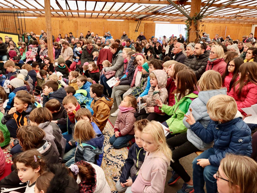 image-1 - Festival des familles