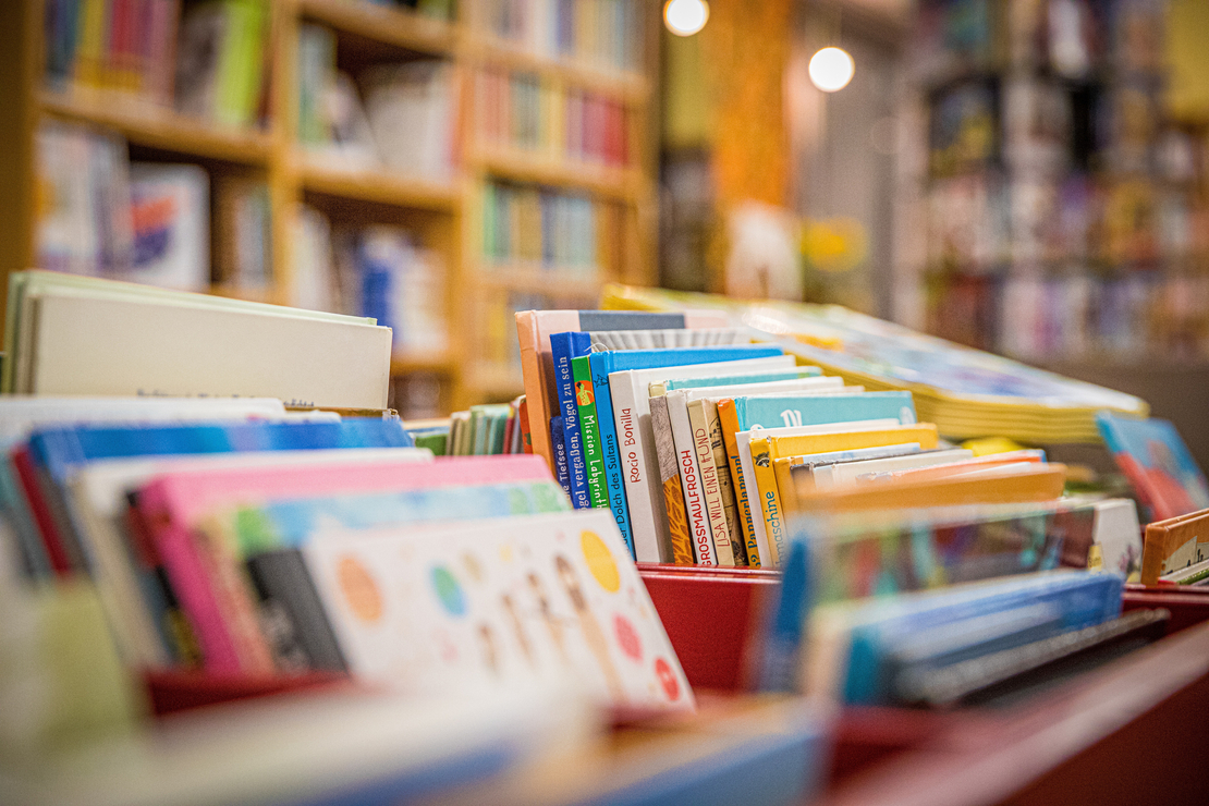 Image - books-5211309.jpg