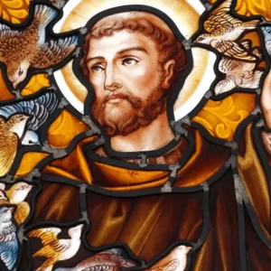 Image - saint-francois-dassise.webp