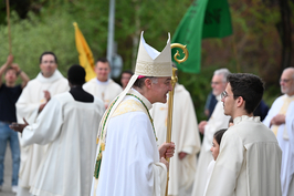 Image - DSC_0337.JPG